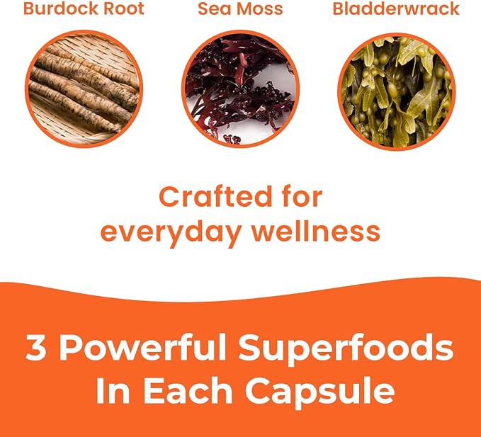 Infinite Age Sea Moss Advanced Supplement – Irish Moss, Bladderwrack & Burdock Root – 60 Vegetable Capsules