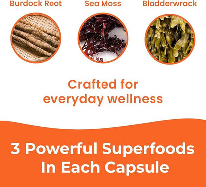 Infinite Age Sea Moss Advanced Supplement – Irish Moss, Bladderwrack & Burdock Root – 60 Vegetable Capsules